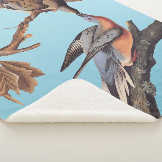 Audubon Pair van het zogende reizigersverkeer Sherpa Deken (3/4)