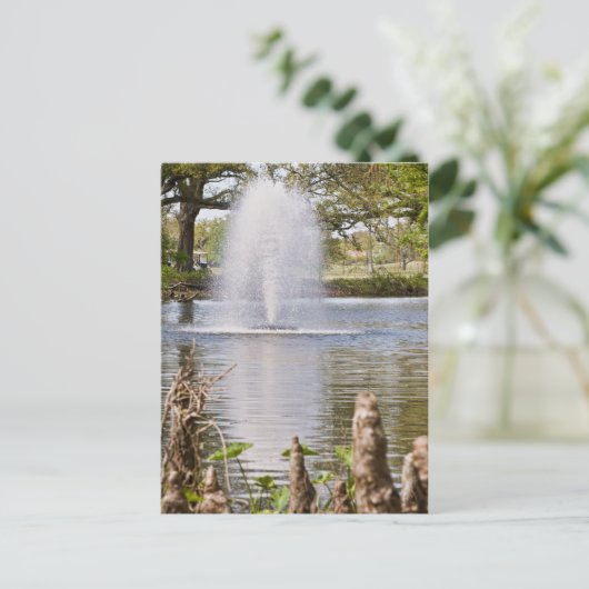 Audubon Park Briefkaart (Staand voorkant)