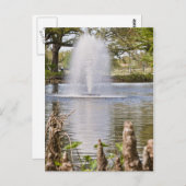 Audubon Park Briefkaart (Voorkant / Achterkant)