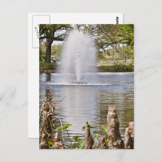 Audubon Park Briefkaart (Voorkant / Achterkant)