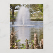 Audubon Park Briefkaart (Voorkant)