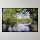 Audubon Park Poster (Voorkant)