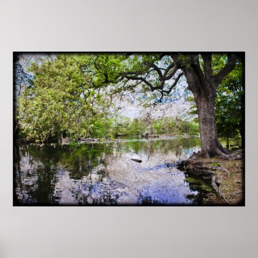 Audubon Park Poster (Voorkant)