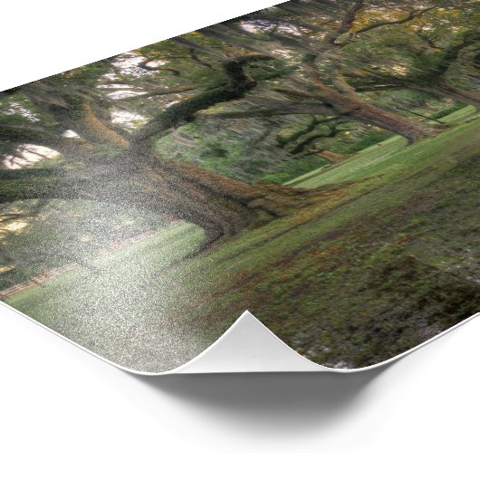 Audubon Park Rain Foto Afdruk (Hoek)