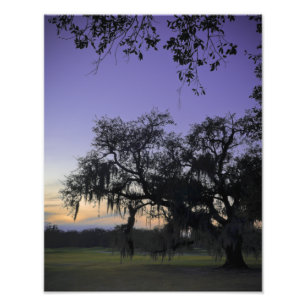 Audubon Park Sunset Foto Afdruk