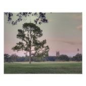Audubon Park Sunset Foto Afdruk (Voorkant)