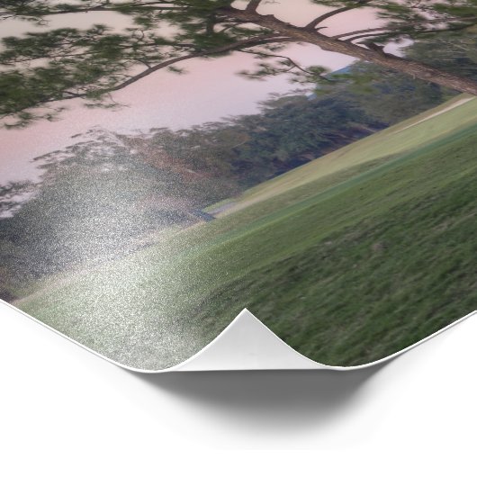 Audubon Park Sunset Foto Afdruk (Hoek)