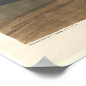 Audubon Pelican Poster (Hoek)