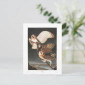 Audubon Plate 171 Barn Owl Briefkaart (Staand voorkant)