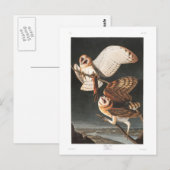 Audubon Plate 171 Barn Owl Briefkaart (Voorkant / Achterkant)