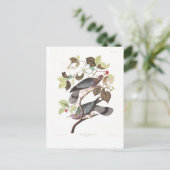 Audubon Plate 367 Band-tailed Pigeon Briefkaart (Staand voorkant)