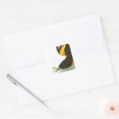Audubon print van Baltimore Oriole Vierkante Sticker (Envelop)