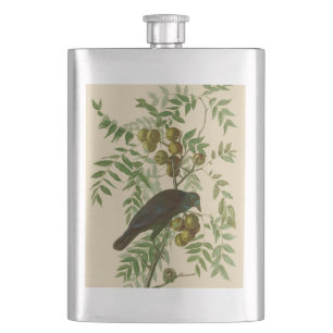 Audubon Purple Grackle Vogelprint Vintage Botaniek Flacon