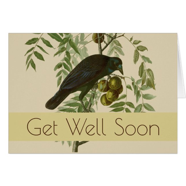 Audubon Purple Grackle Vogelprint Vintage Botanisc (Voorkant Horizontaal)
