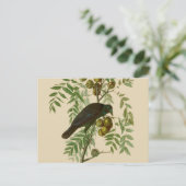 Audubon Purple Grackle Vogelprint Vintage Botanisc Briefkaart (Staand voorkant)