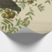 Audubon Purple Grackle Vogelprint Vintage Botanisc Cadeaupapier (Hoek)