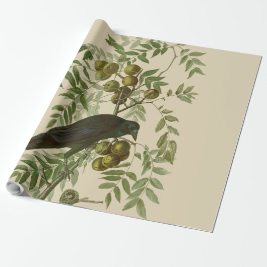 Audubon Purple Grackle Vogelprint Vintage Botanisc Cadeaupapier (Uitgerold)