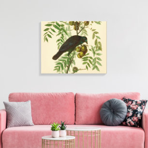Audubon Purple Grackle Vogelprint Vintage Botanisc Canvas Afdruk