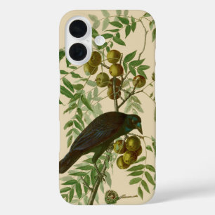 Audubon Purple Grackle Vogelprint Vintage Botanisc iPhone 16 Hoesje