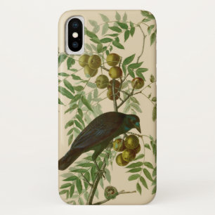 Audubon Purple Grackle Vogelprint Vintage Botanisc Case-Mate iPhone Case