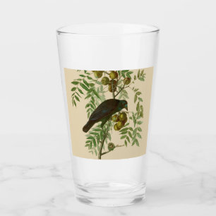 Audubon Purple Grackle Vogelprint Vintage Botanisc Glas