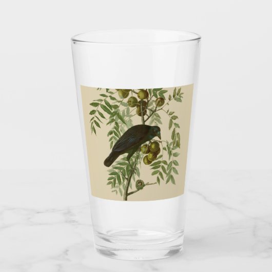 Audubon Purple Grackle Vogelprint Vintage Botanisc Glas (Voorkant)