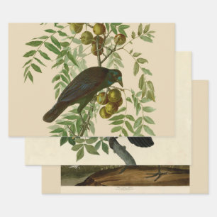 Audubon Purple Grackle Vogelprint Vintage Botanisc Inpakpapier Vel