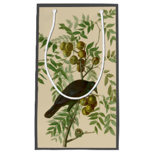 Audubon Purple Grackle Vogelprint Vintage Botanisc Klein Cadeauzakje