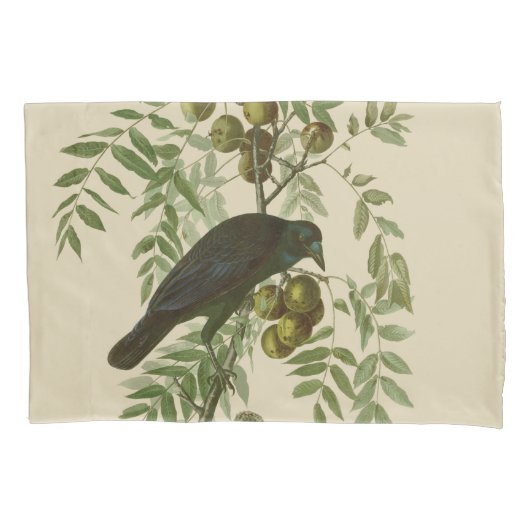 Audubon Purple Grackle Vogelprint Vintage Botanisc Kussensloop (Voorkant)