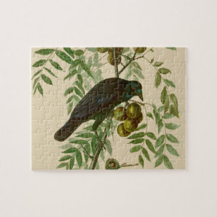 Audubon Purple Grackle Vogelprint Vintage Botanisc Legpuzzel