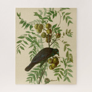 Audubon Purple Grackle Vogelprint Vintage Botanisc Legpuzzel