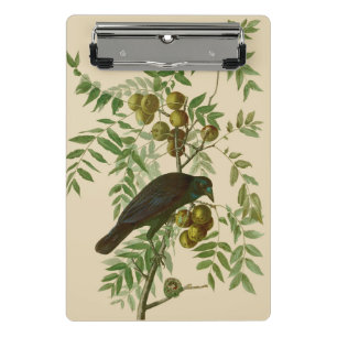 Audubon Purple Grackle Vogelprint Vintage Botanisc Mini Klembord
