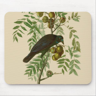 Audubon Purple Grackle Vogelprint Vintage Botanisc Muismat