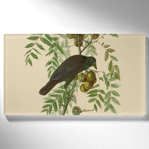 Audubon Purple Grackle Vogelprint Vintage Botanisc Naambadge