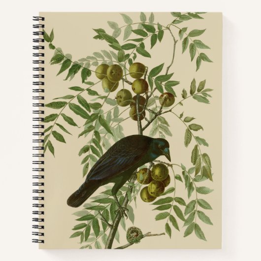 Audubon Purple Grackle Vogelprint Vintage Botanisc Notitieboek (Voorkant)