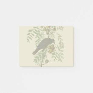 Audubon Purple Grackle Vogelprint Vintage Botanisc Post-it® Notes