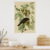 Audubon Purple Grackle Vogelprint Vintage Botanisc Poster (Keuken)