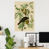 Audubon Purple Grackle Vogelprint Vintage Botanisc Poster (Thuiskantoor)