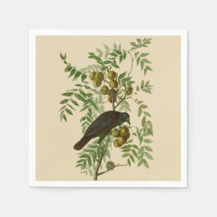 Audubon Purple Grackle Vogelprint Vintage Botanisc Servet