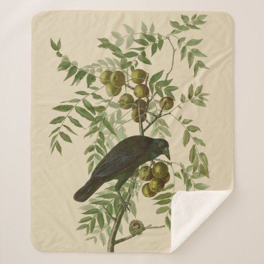 Audubon Purple Grackle Vogelprint Vintage Botanisc Sherpa Deken (Voorkant)