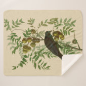 Audubon Purple Grackle Vogelprint Vintage Botanisc Sherpa Deken (Voorkant (horizontaal))