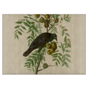 Audubon Purple Grackle Vogelprint Vintage Botanisc Snijplank