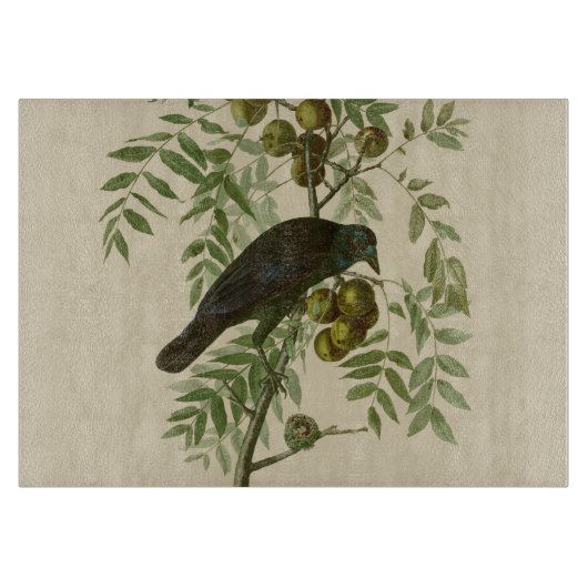 Audubon Purple Grackle Vogelprint Vintage Botanisc Snijplank (Voorkant)