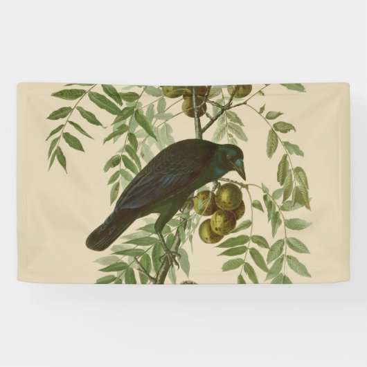 Audubon Purple Grackle Vogelprint Vintage Botanisc Spandoek (Horizontaal)