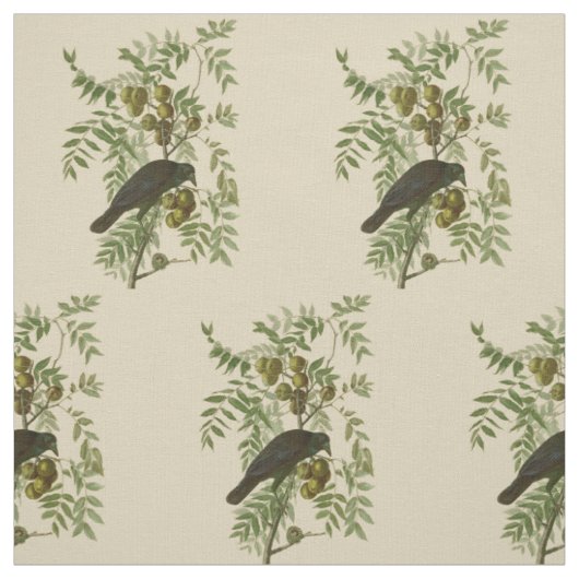 Audubon Purple Grackle Vogelprint Vintage Botanisc Stof (Swatch)