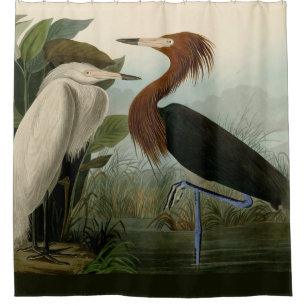 Audubon Purple Reiger Roodachtige Reigersoort Pren Douchegordijn