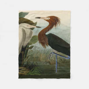 Audubon Purple Reiger Roodachtige Reigersoort Pren Fleece Deken