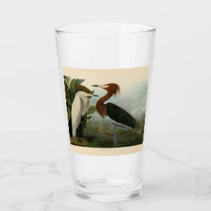 Audubon Purple Reiger Roodachtige Reigersoort Pren Glas