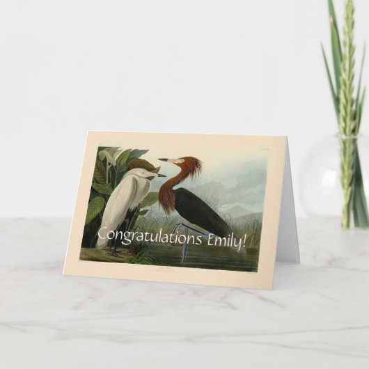 Audubon Purple Reiger Roodachtige Reigersoort Pren Kaart (Voorkant)