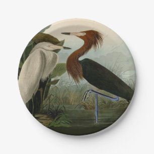 Audubon Purple Reiger Roodachtige Reigersoort Pren Papieren Bordje